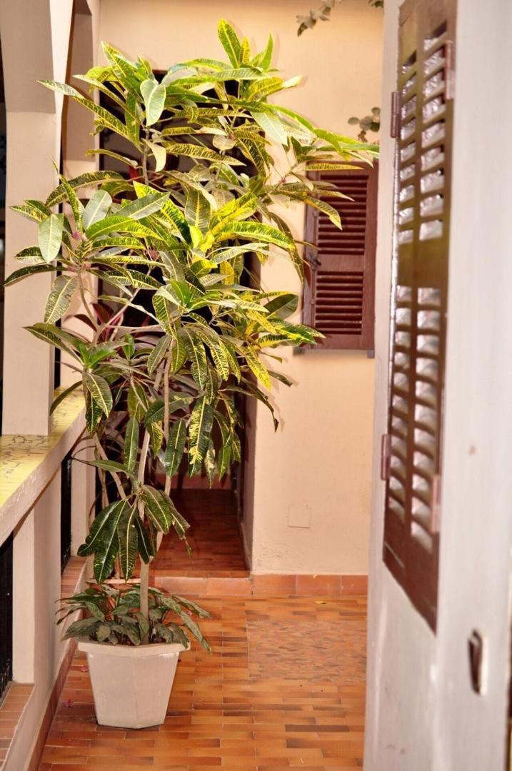 Chez Titi Hotel Saint-Louis Exterior photo